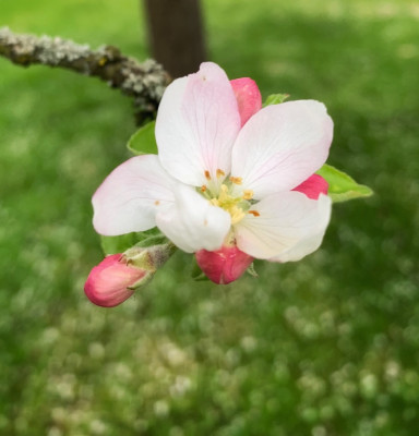 5F262406-2CA3-45C4-8DBC-B6926A6A6B32.jpeg
