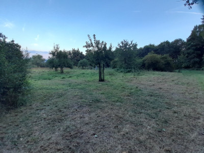 20240903_192830.jpg
