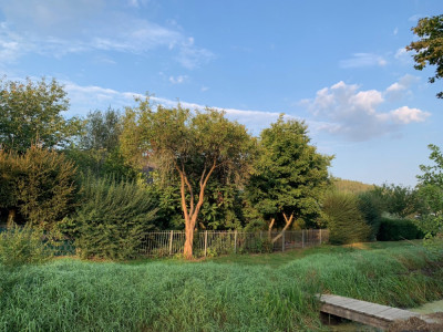 4C05C4D4-3677-44E1-AE38-605133784BD4.jpeg