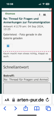 IMG_4334.png