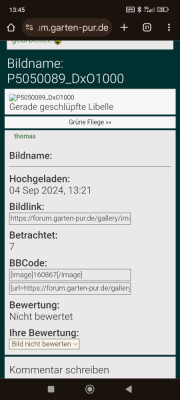 Screenshot_2024-09-04-13-45-41-753_com.android.chrome.jpg