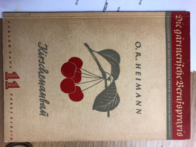 Heimann_Kirschenanbau.jpeg