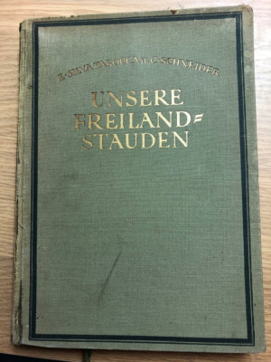 Freilandstauden.jpeg