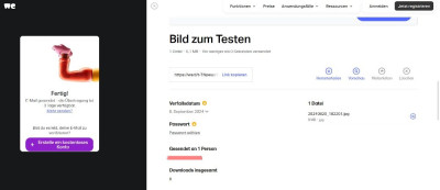 PurNeuBildKopfstandGesendet.jpg