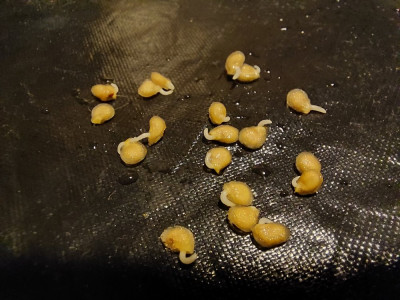 20240907_151445.jpg