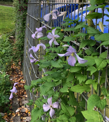 IMG_5140.jpeg