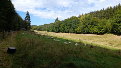 IMG-20240908-WA0021.jpeg
