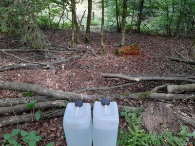 20240908_114824.jpg