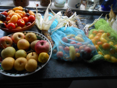 DSCN7922.JPG