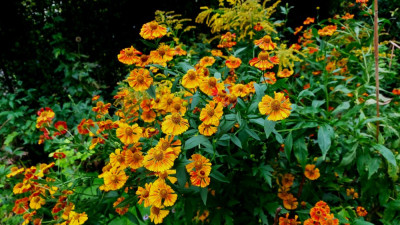 20240906_191919.jpg