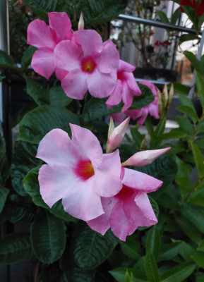 20240908_201254.jpg