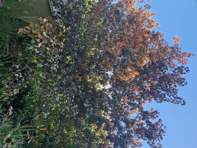 20240908_145433.jpg