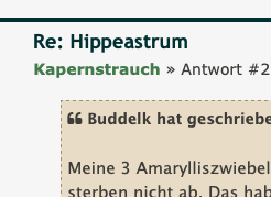 Bildschirmfoto 2024-09-04 um 13.51.02.png