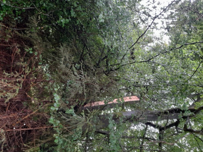 20240911_094130.jpg