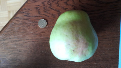 IMG-20240913-WA0013.jpeg