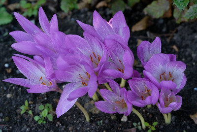 DSC_8682_DxO.jpg