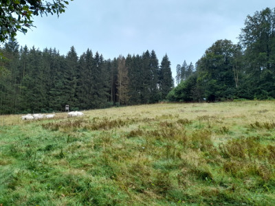 20240916_102615.jpg