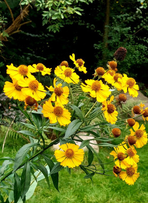 20240915_122909.jpg