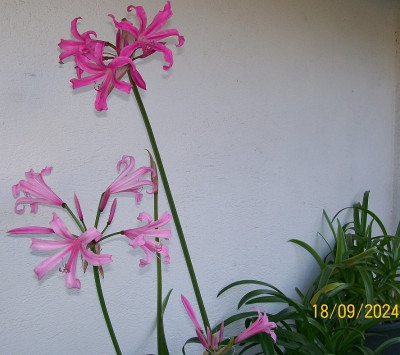 101_0015.jpg