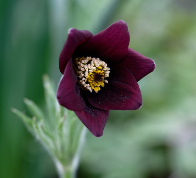 DSC_8505_DxO.jpg
