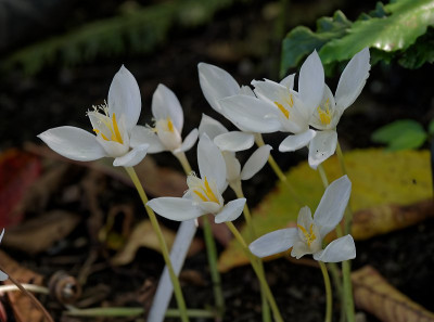 DSC_8698_DxO.jpg