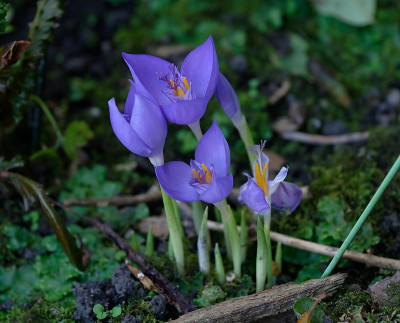 DSC_8697_DxO.jpg