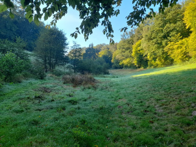 20240922_092056.jpg