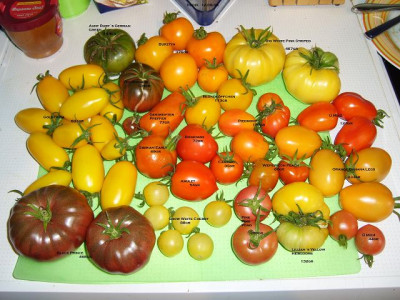 k-Ernte_12.09.08_beschriftet.JPG