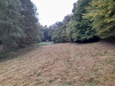 20240924_092909.jpg