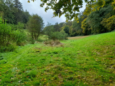20240925_140355.jpg
