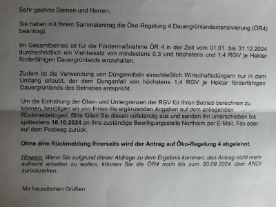 20240928_081021.jpg