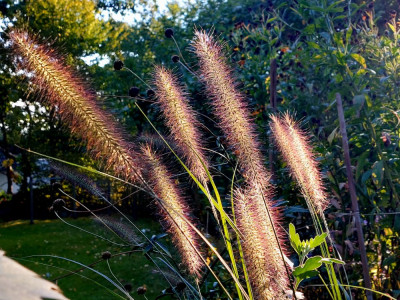20240926_174400.jpg