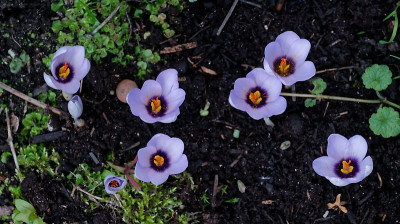 DSC_8730_DxO.jpg