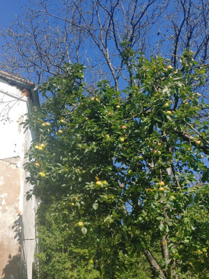 20240921_124438.jpg