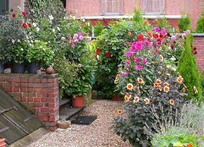 Mehr_Dahlien_vor_der_Haustur_10.9.08.jpg