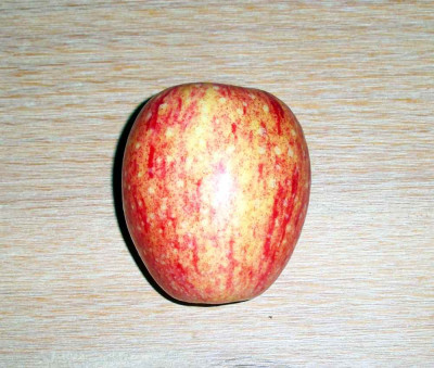 Doppelter_Hasnekopf_80.jpg