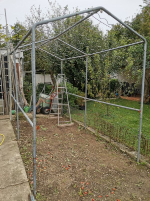 Tomatenfreilandhaus.jpeg