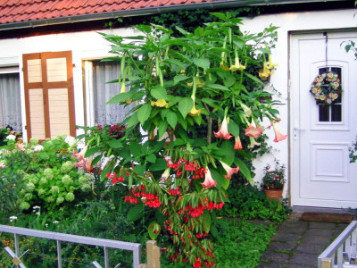 Hauseingang_11 001a.jpg