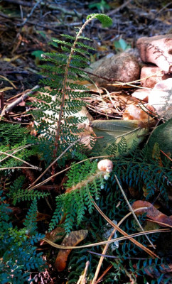 20241003_110213.jpg