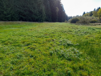 20241006_113529.jpg