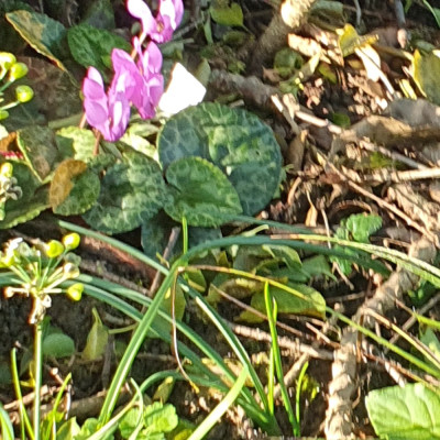 20241006_093852.jpg
