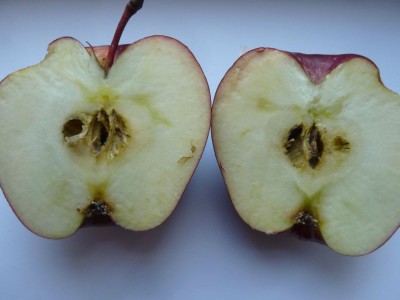 P1500334.JPG