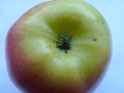 P1500331.JPG