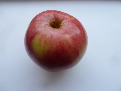 P1500332.JPG