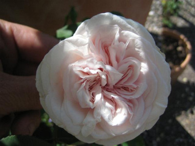 IMG_3277_Small.JPG