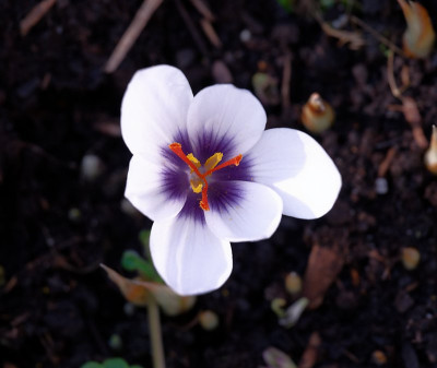 DSC_8750_DxO.jpg