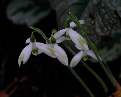 DSC_8756_DxO.jpg