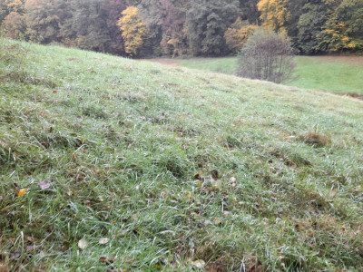 20241008_100612.jpg