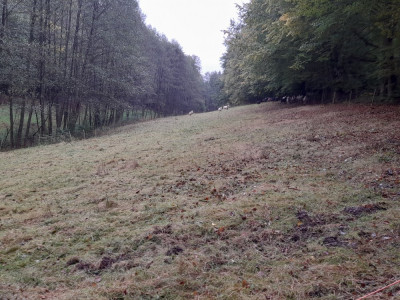 20241009_093927.jpg