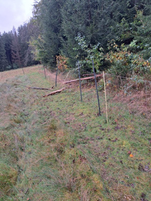 IMG-20241010-WA0000.jpg
